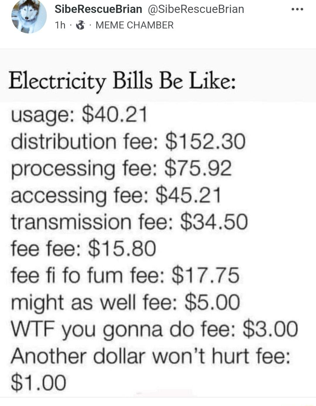 SibeRescueBrian SibeRescueBrian W 1h 8 MEME CHAMBER Electricity Bills Be Like usage 4021 distribution fee 15230 processing fee 7592 accessing fee 4521 transmission fee 3450 fee fee 1580 fee fi fo fum fee 1775 might as well fee 500 WTF you gonna do fee 300 Another dollar wont hurt fee 100