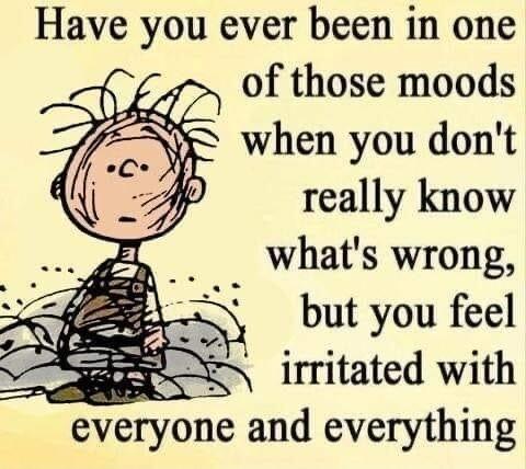Have you ever been in one of those moods when you dont really know whats wrong but you feel irritated with everyone and everything