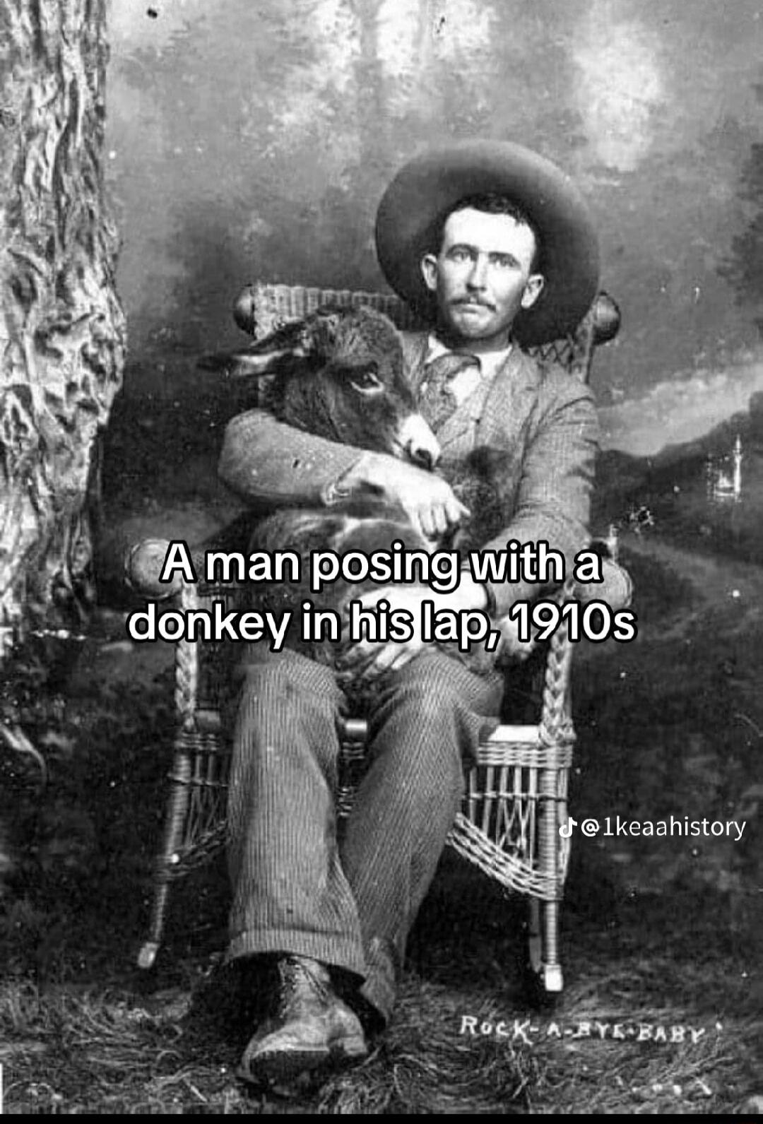 lmaposihg donkey inihisfla