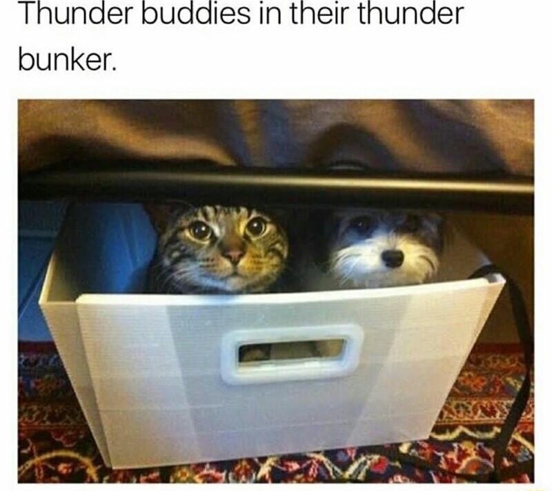 Thunder buddies In their thunaer bunker