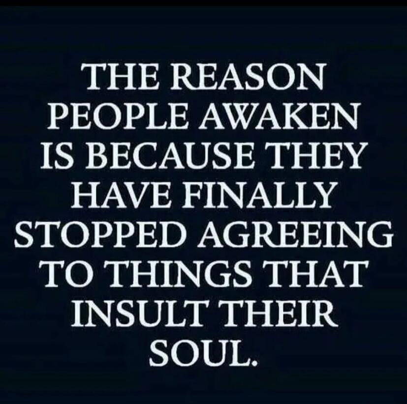 THE REASON PEOPLE AWAKEN IS BECAUSE THEY HAVE FINALLY STOPPED AGREEING TO THINGS THAT INSULT THEIR SOUL.