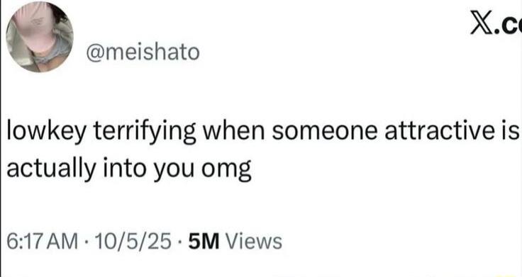 lowkey terrifying when someone attractive is actually into you omg