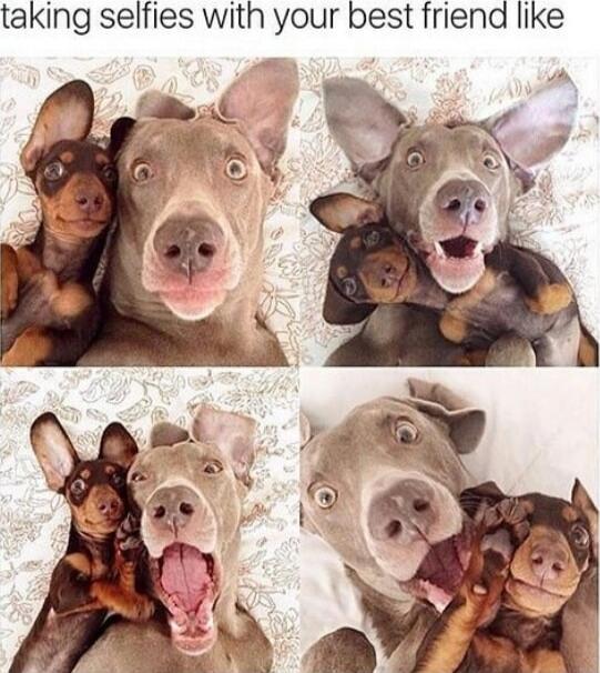 taking selfies with your best friend like