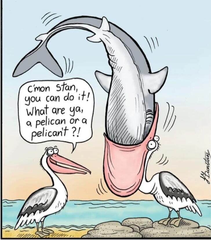 c'mon Stan, you can do it! What are ya, a pelican or a pelican't ?!