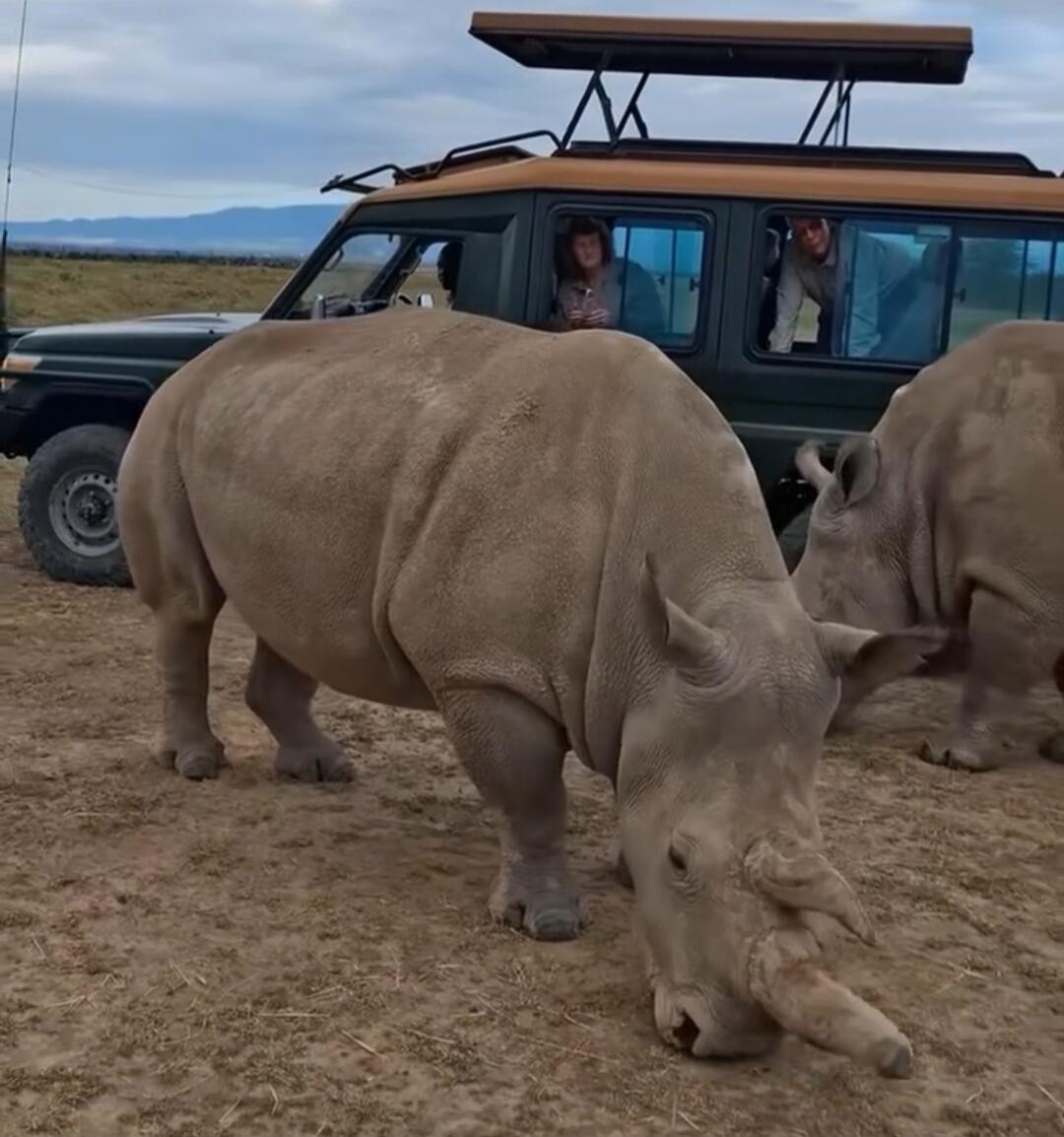 Session ID: 1065201.