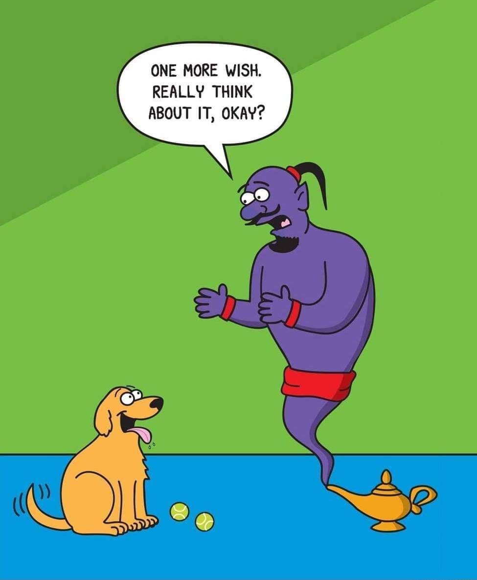 ONE MORE WISH REALLY THINK ABOUT IT OKAY