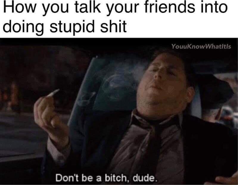ow you talk your friends Into doing stupid shit Dont be a bitch dude