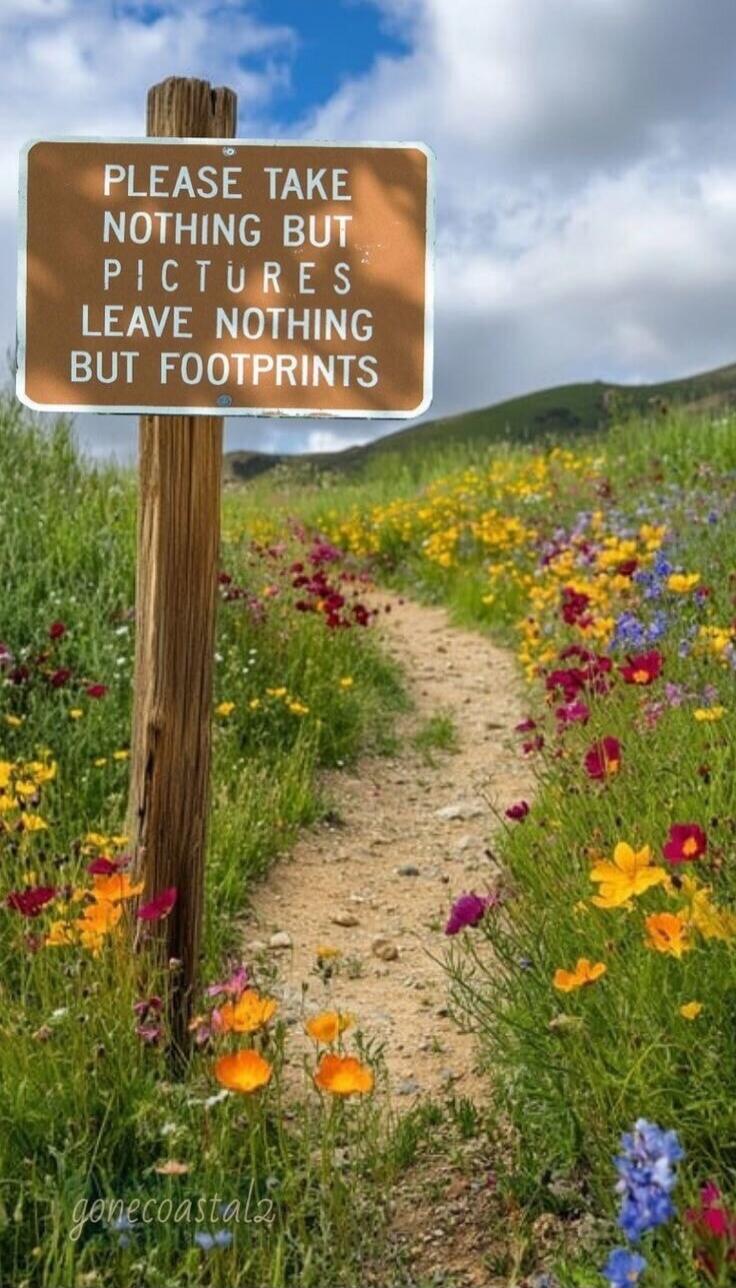 PLEASE TAKE NOTHING BUT PICTURES LEAVE NOTHING BUT FOOTPRINTS gonecoastala