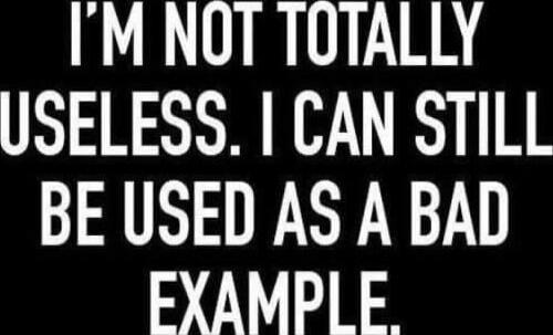 I'M NOT TOTALLY USELESS. I CAN STILL BE USED AS A BAD EXAMPLE.