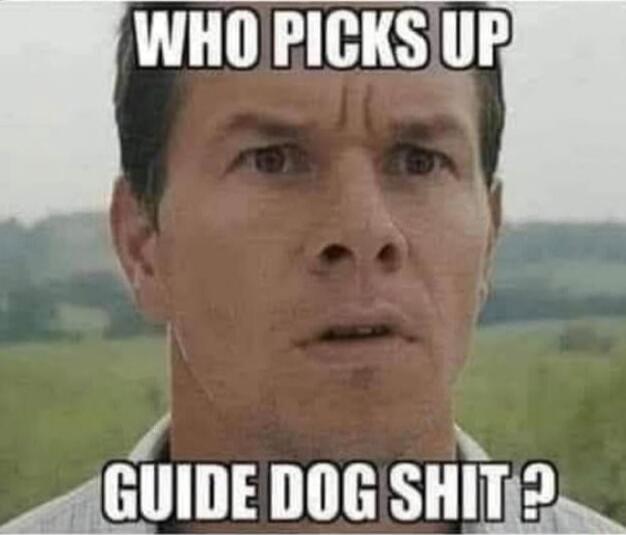 WHO PICKS UP GUIDE DOG SHIT?