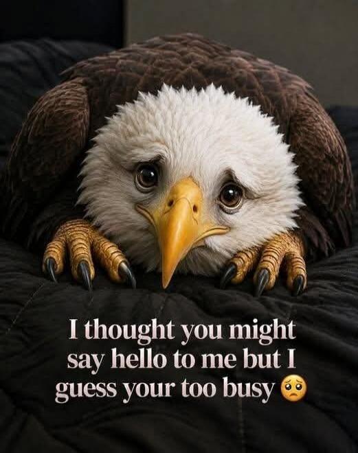I thought you might say hello to me but I guess your too busy 🥺