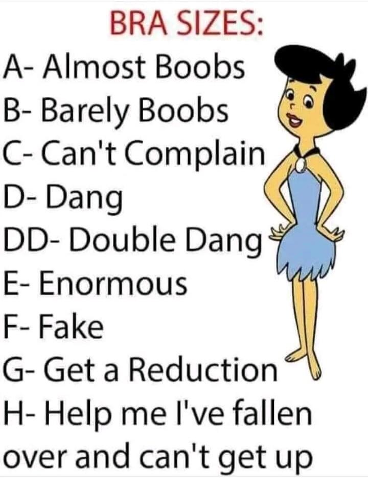 BRA SIZES: A- Almost Boobs B- Barely Boobs C- Can't Complain D- Dang DD- Double Dang E- Enormous F- Fake G- Get a Reduction H- Help me I've fallen over and can't get up