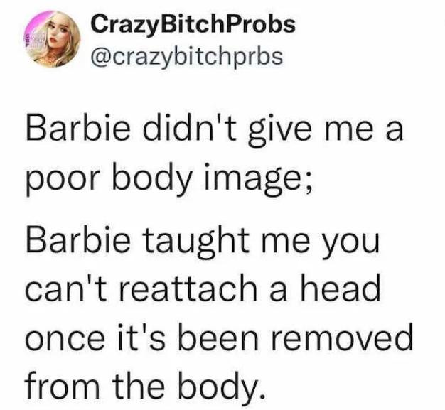 3 CrazyBitchProbs crazybitchprbs Barbie didnt give me a poor body image Barbie taught me you cant reattach a head once its been removed from the body