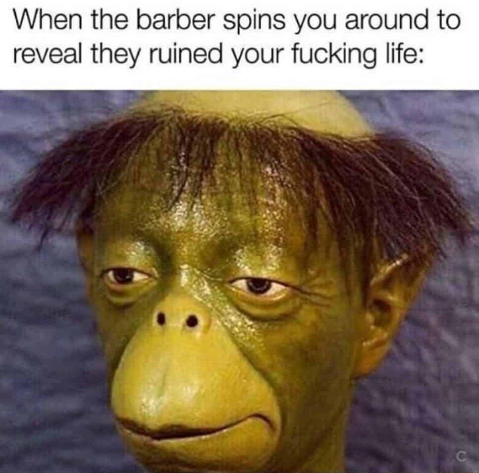 When the barber spins you around to reveal they ruined your fucking life