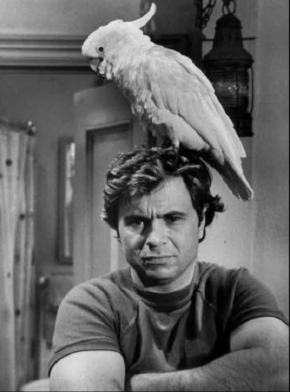 A man with a parrot perched on his head.