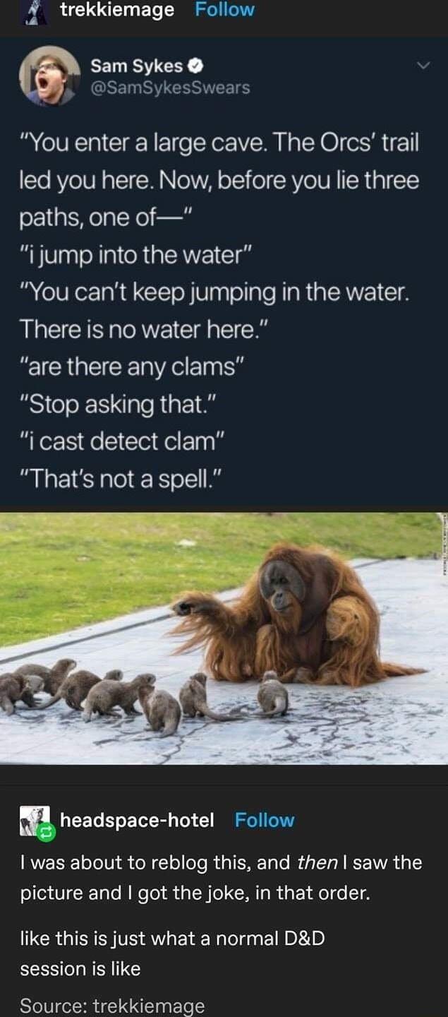 R LU ETe RS a EESTE Sams You enter a large cave The Orcs trail led you here Now before you lie three paths one of ijump into the water You cant keep jumping in the water There is no water here are there any clams Stop asking that i cast detect clam Thats not a spell m_headspace hotel Follow was about to reblog this and then saw the picture and got the joke in that order like this is just what a no