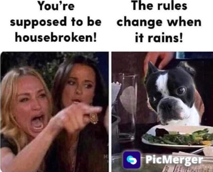 Youre supposed to be change when housebroken it rains