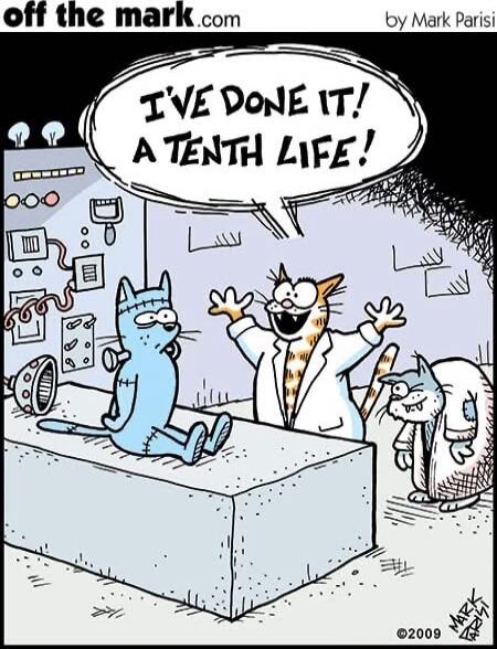 I've done it! A tenth life!