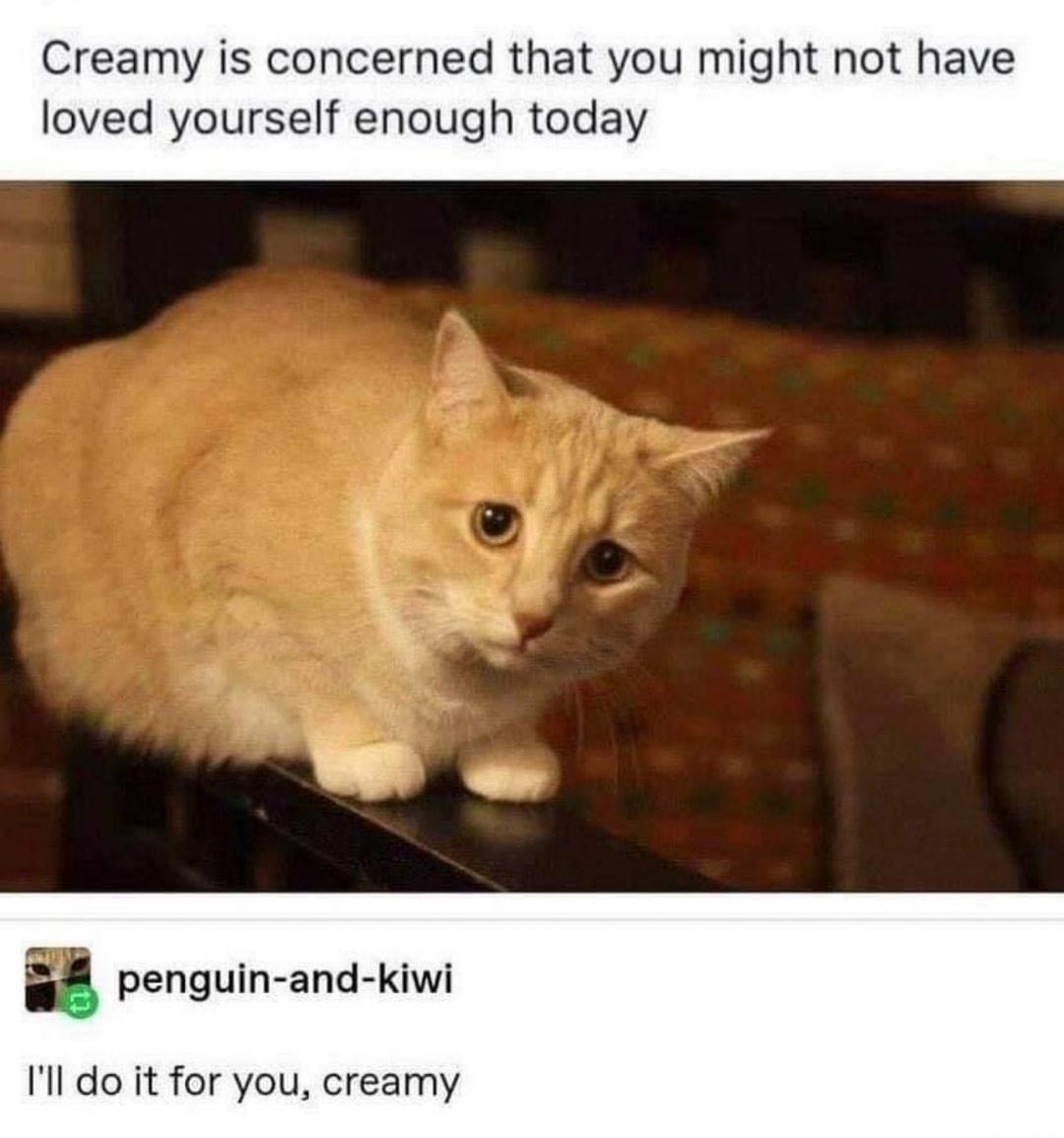 Creamy is concerned that you might not have loved yourself enough today a penguin and kiwi Ill do it for you creamy