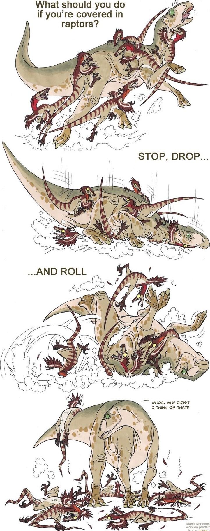 What should you do if youre covered in raptors