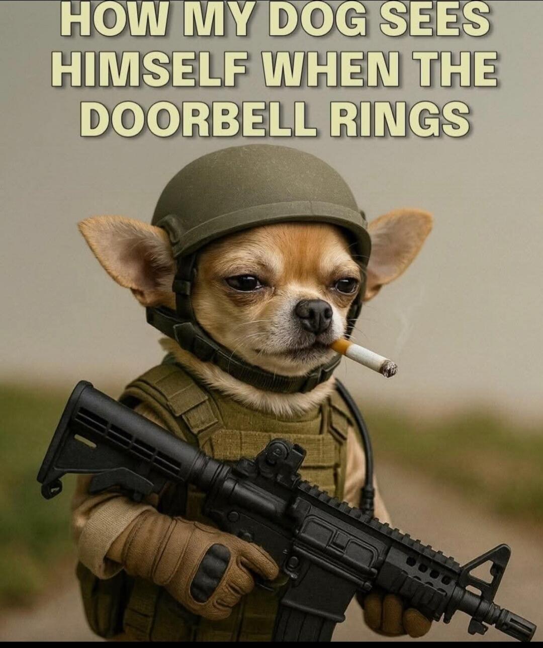 HOW MY DOG SEES HIMSELF WHEN THE DOORBELL RINGS