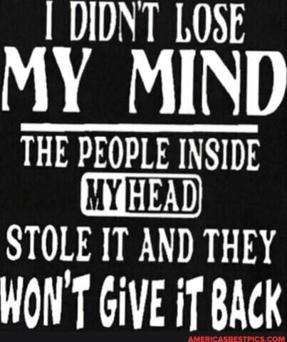 I DIDN'T LOSE MY MIND THE PEOPLE INSIDE MY HEAD STOLE IT AND THEY WON'T GIVE IT BACK