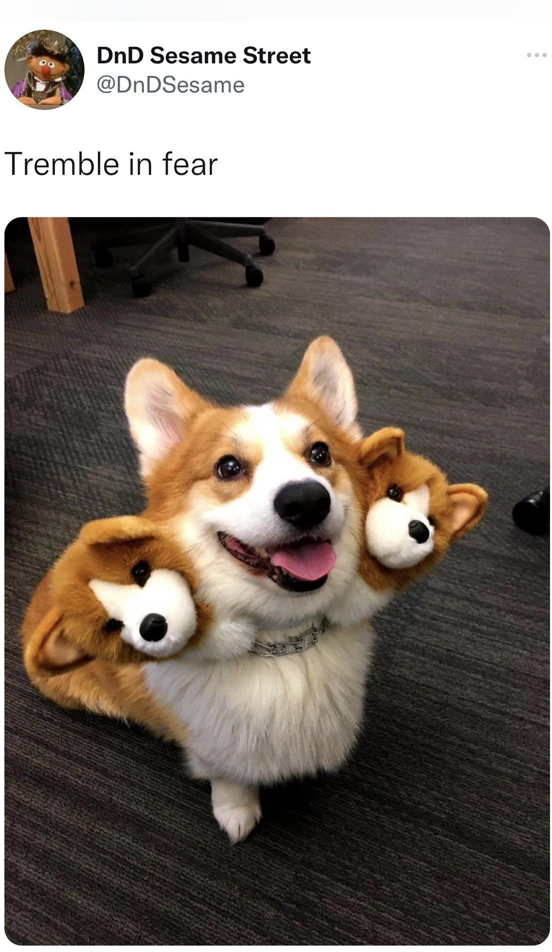 DnD Sesame Street DnDSesame Tremble in fear 310PM 51022 T