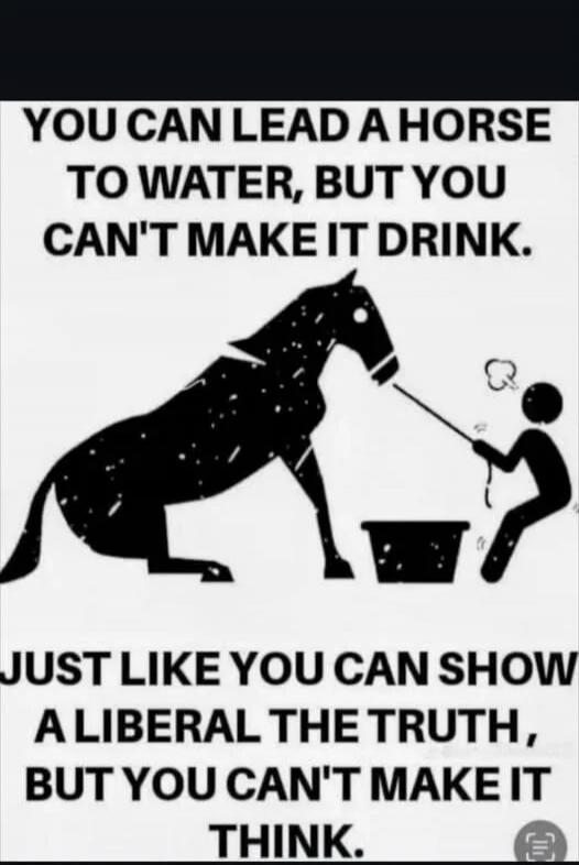 You can lead a horse to water, but you can't make it drink. Just like you can show a liberal the truth, but you can't make it think.