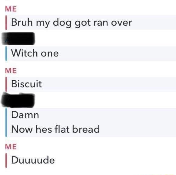 ME Bruh my dog got ran over Witch one ME Biscuit Damn Now hes flat bread ME Duuuude