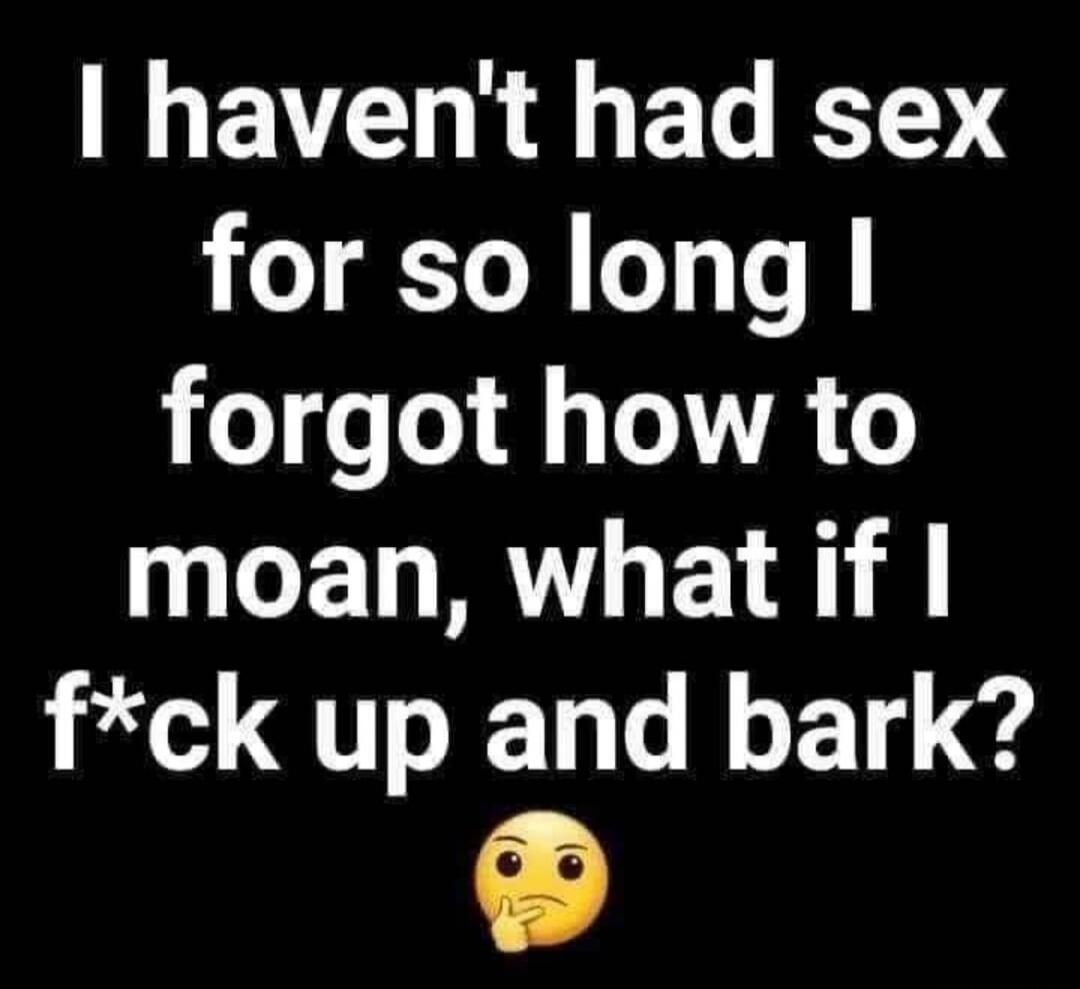 I haven't had sex for so long I forgot how to moan, what if I f*ck up and bark?