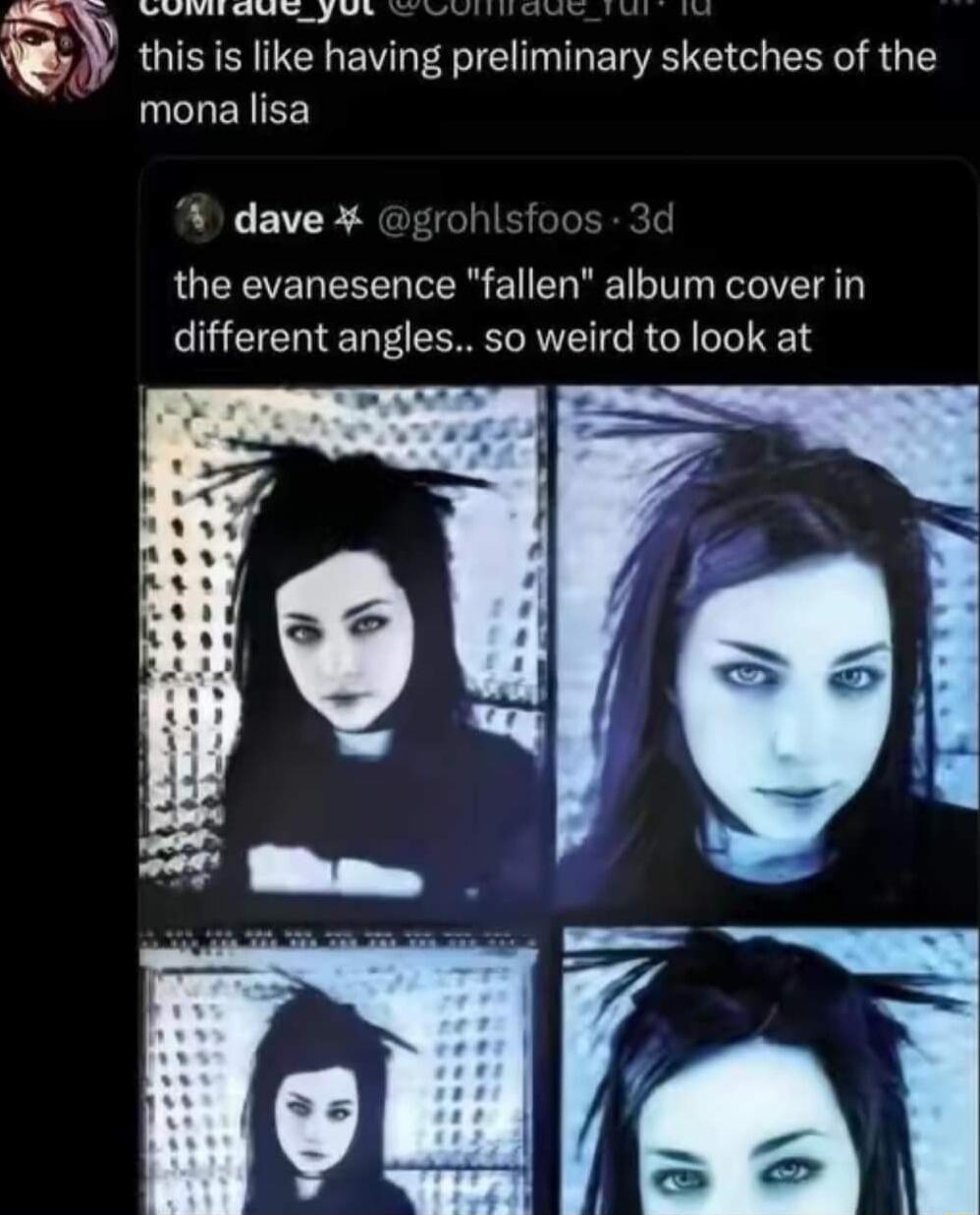 e nia d THAEVLYW T this is like having preliminary sketches of the mona lisa 4 dave grohlsfoo the evanesence fallen album cover in different angles so weird to look at