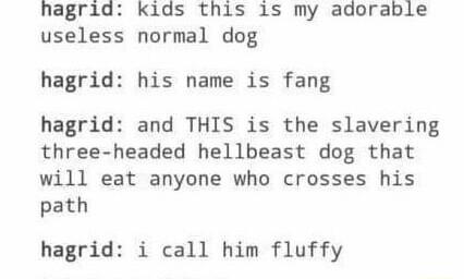 hagrid kids this 1s my adorable useless normal dog hagrid his name is fang hagrid and THIS is the slavering three headed hellbeast dog that will eat anyone who crosses his path hagrid i call him fluffy