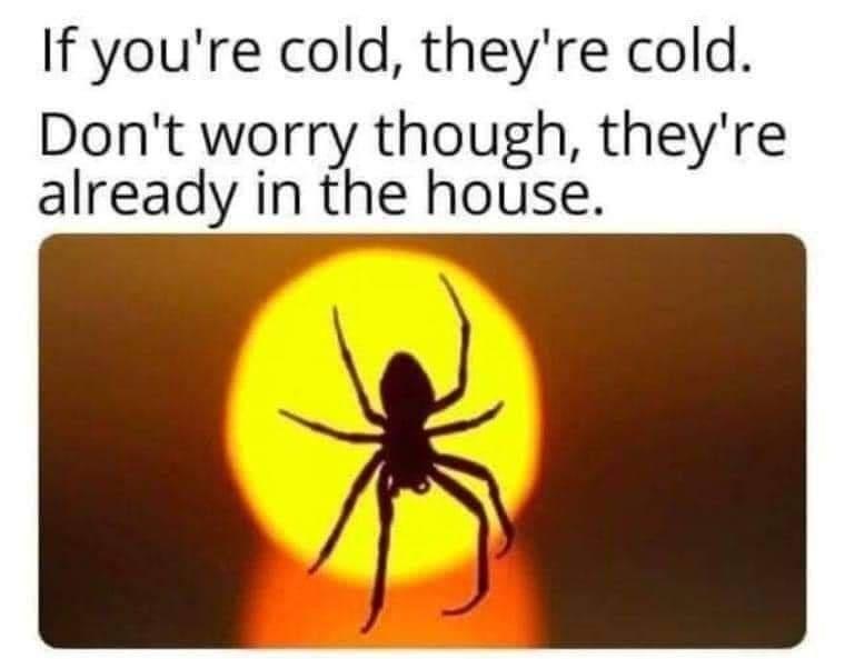 If youre cold theyre cold Dont worry though theyre already in the house