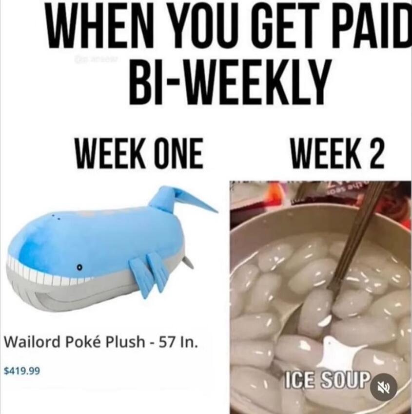 WHEN YOU GET PAIC BI WEEKLY WEEK ONE WEEK 2 qqqqqq