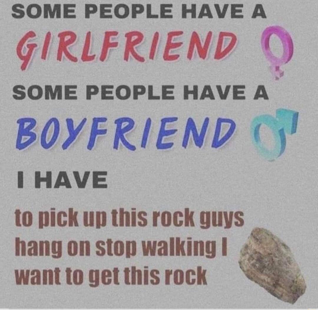 SOME PEOPLE HAVE A GIRLFRIEND SOME PEOPLE HAVE A BOYFRIEND 1 HAVE to pick up this rock guys hang on stop walking want to get this rock