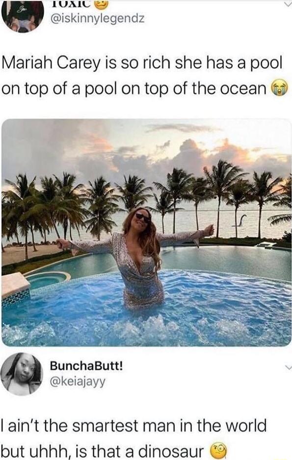 1VAL iskinnylegendz Mariah Carey is so rich she has a pool on top of a pool on top of the ocean Ca i BunchaButt keiajayy aint the smartest man in the world but uhhh is that a dinosaur