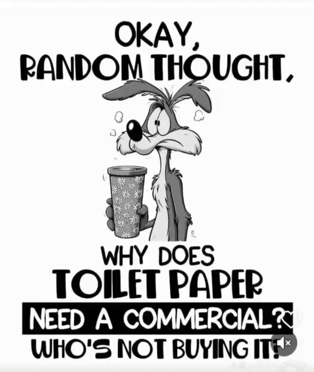 OKAY, RANDOM THOUGHT, WHY DOES TOILET PAPER NEED A COMMERCIAL? WHO'S NOT BUYING IT!