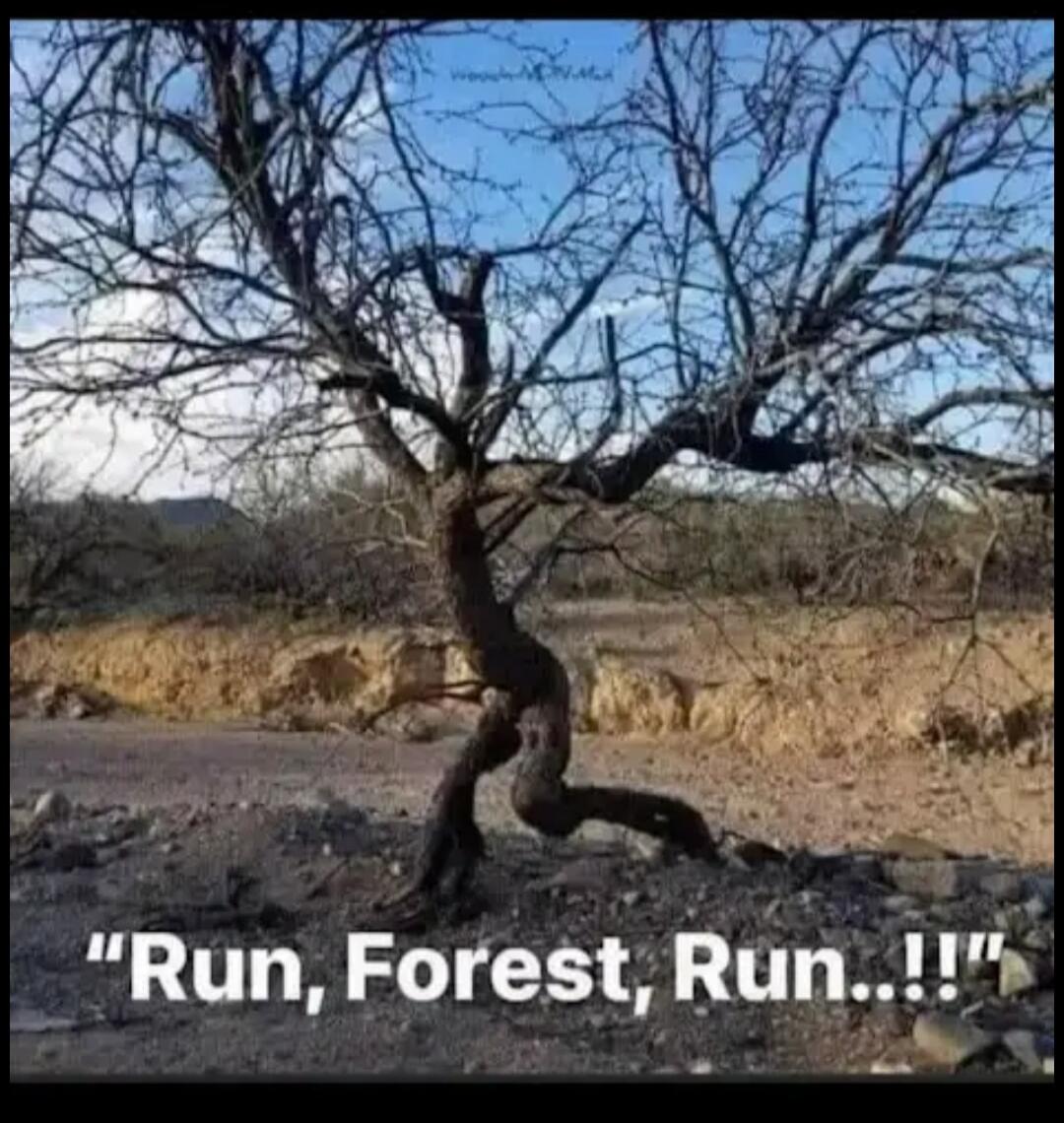 Run, Forest, Run..!!!