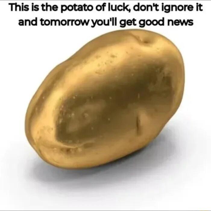 This is the potato of luck dont ignore it and tomorrow youll get good news
