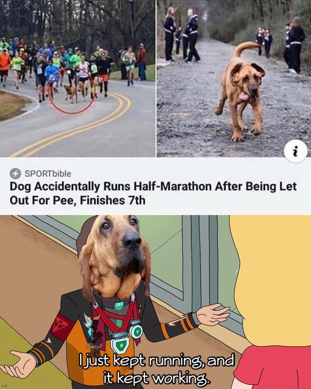 spoRTbible Dog Accidentally Runs Half Marathon After Being Let Out For Pee Finishes 7th