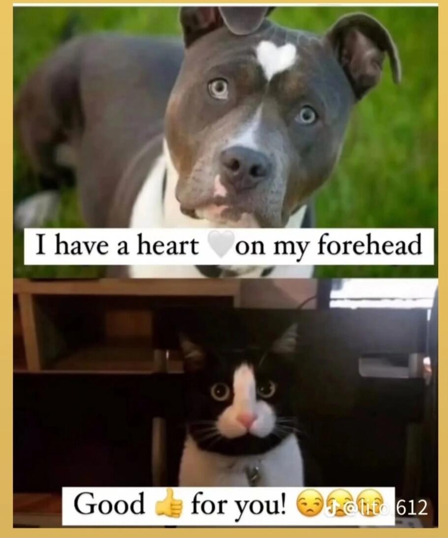 I have a heart on my forehead Good for you!