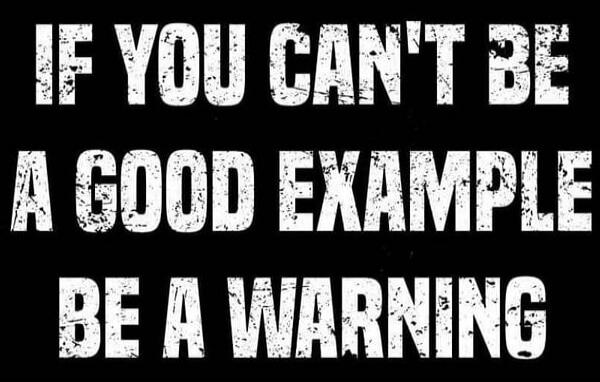 IF YOU CAN'T BE A GOOD EXAMPLE BE A WARNING