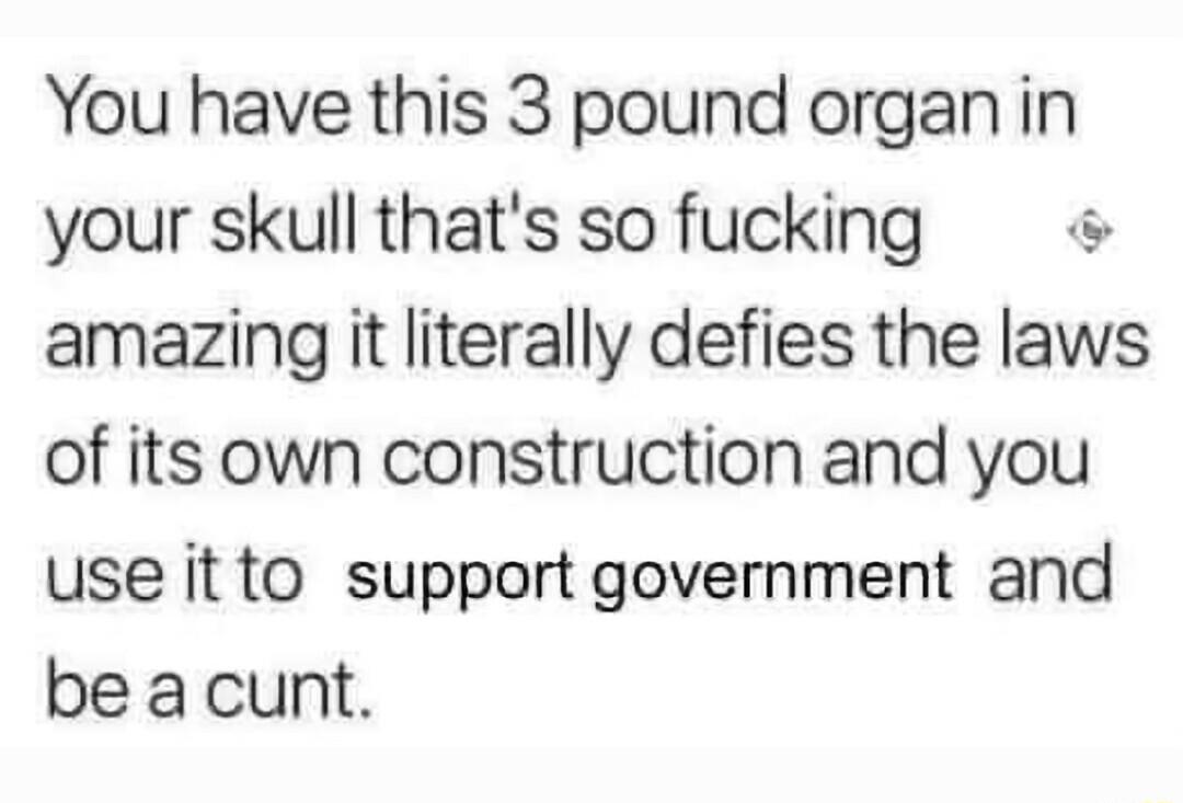 You have this 3 pound organ in your skull thats so fucking amazing it literally defies the laws of its own construction and you useitto support government and be acunt