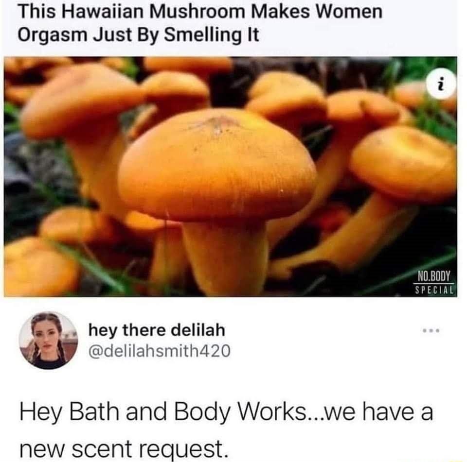 This Hawaiian Mushroom Makes Women Orgasm Just By Smelling It hey there delilah U delilahsmithd20 Hey Bath and Body Workswe have a new scent request