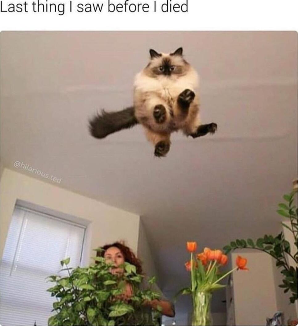 Last thing saw before died por S
