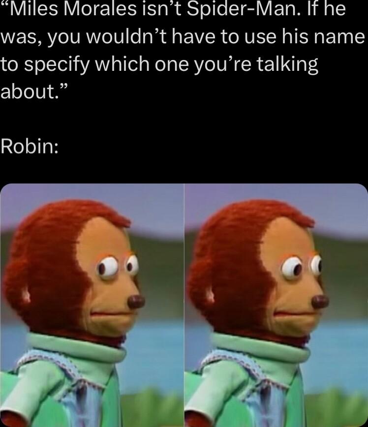 Miles Morales isnt Spider Man It he was you wouldnt have to use his name to specify which one youre talking clelelil A Robin