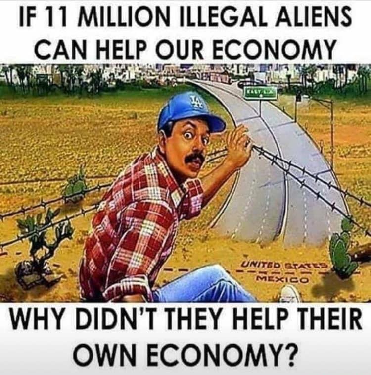 IF 11 MILLION ILLEGAL ALIENS AN HELP OUR ECONOMY WHY DIDN T THEY HEIP THEIR OWN ECONOMY