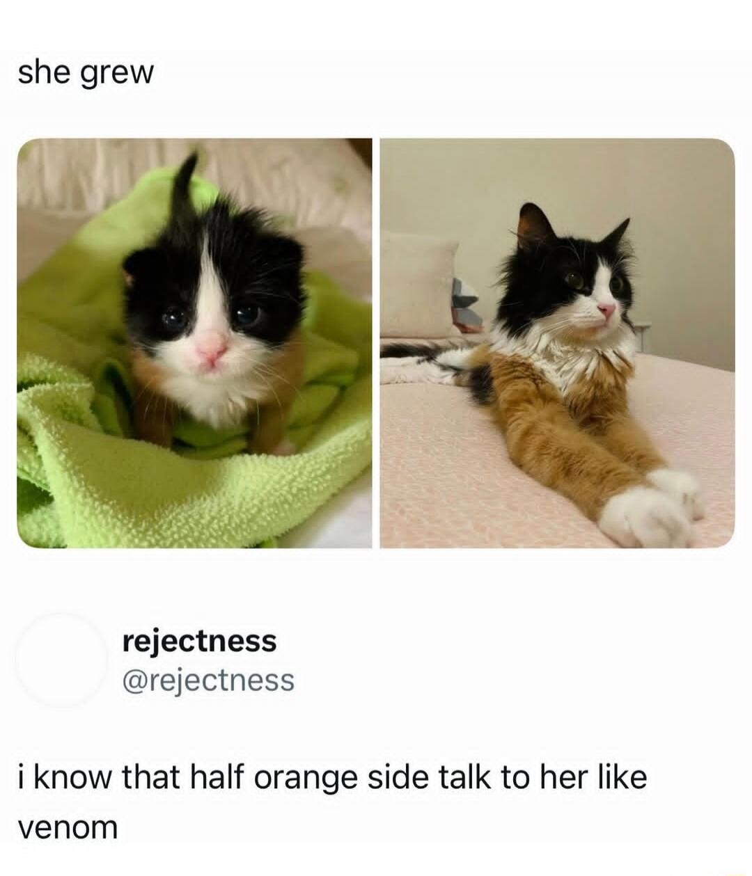 she grew rejectness @rejectness i know that half orange side talk to her like venom