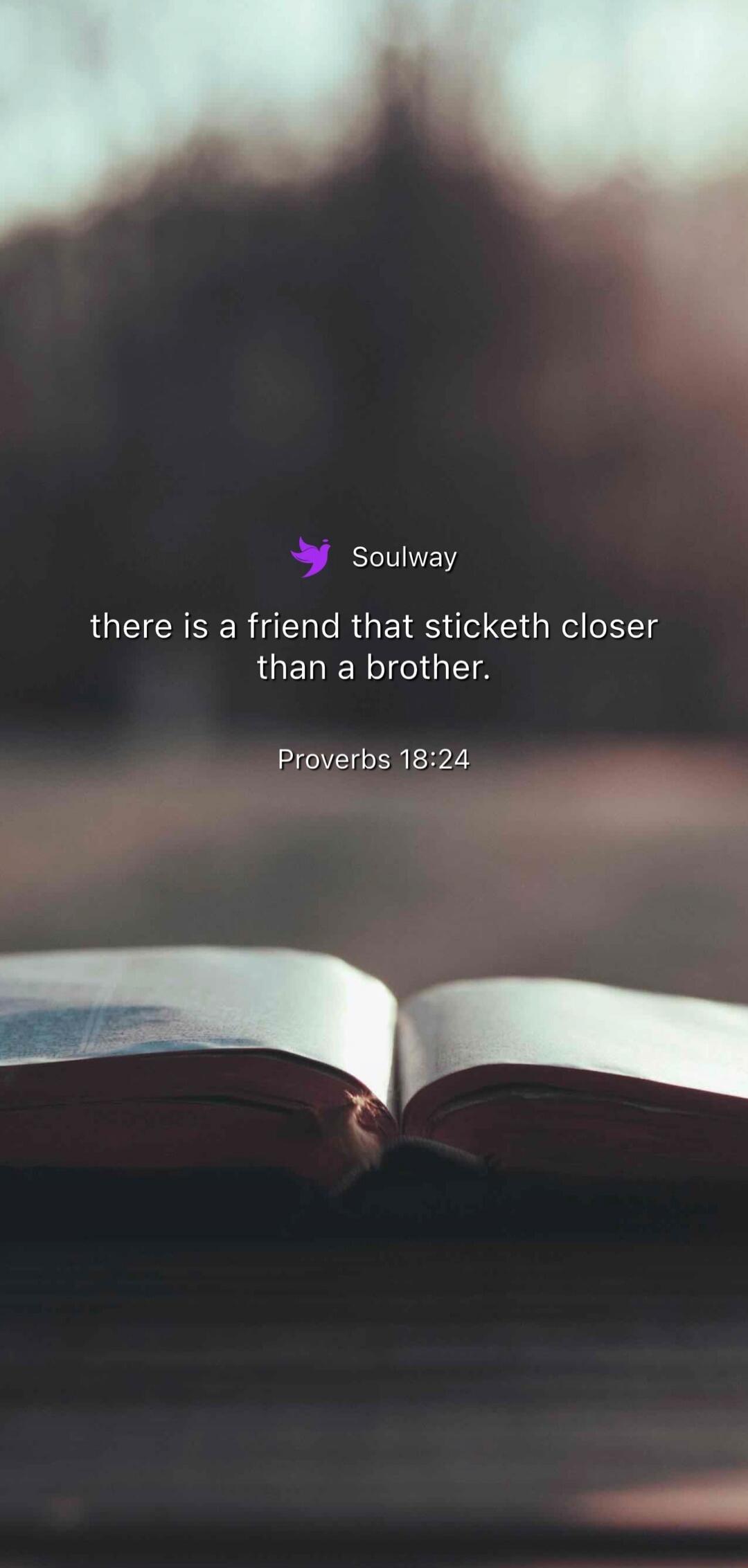 there is a friend that sticketh closer than a brother. Proverbs 18:24