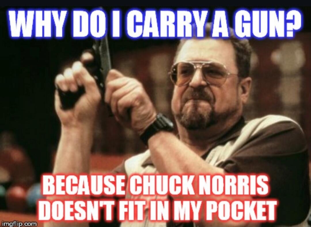 WHY DO I CARRY A GUN? BECAUSE CHUCK NORRIS DOESN'T FIT IN MY POCKET